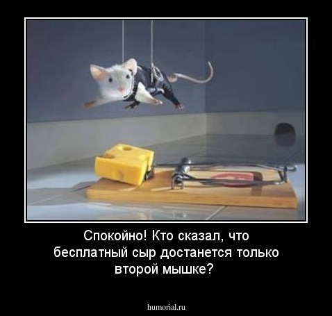Спокойно! Кто сказал, что бесплатный сыр достанется только второй мышке?