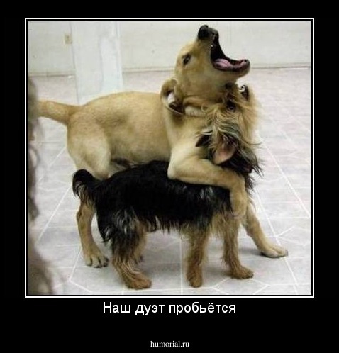 Наш дуэт пробьётся
