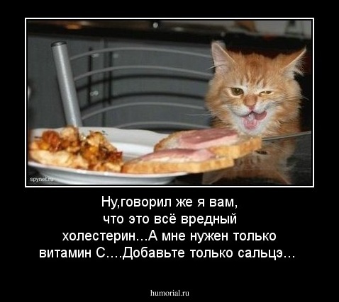 Ну,говорил же я вам, что это всё вредный холестерин...А мне нужен только витамин С....Добавьте только сальцэ...