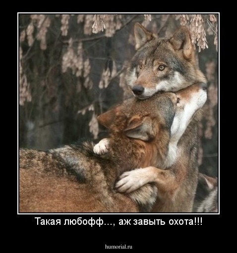 Такая любофф..., аж завыть охота!!!