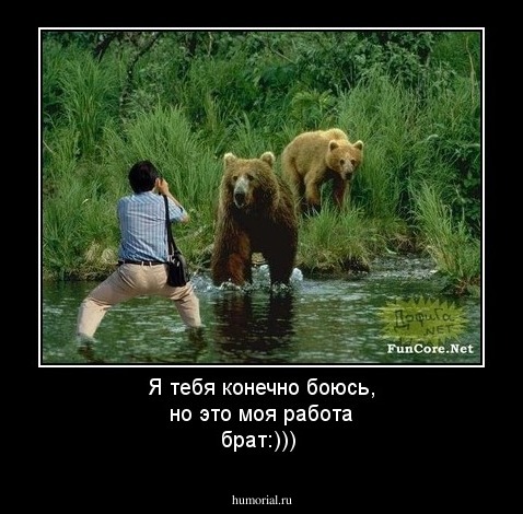 Я тебя конечно боюсь, но это моя работа брат:)))