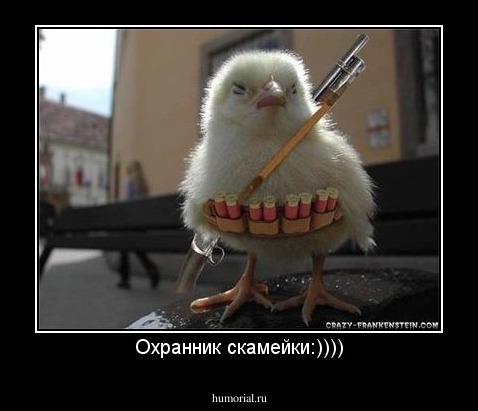 Охранник скамейки:))))