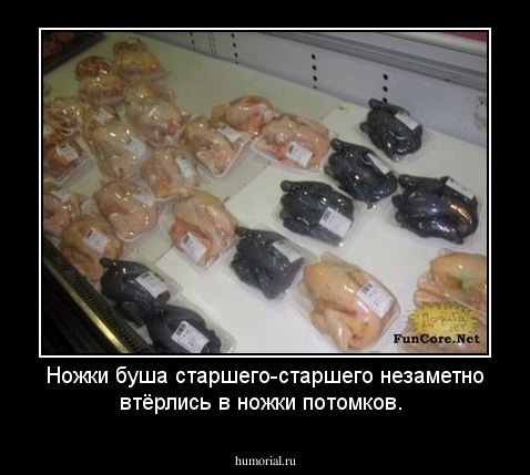Ножки буша старшего-старшего незаметно втёрлись в ножки потомков.