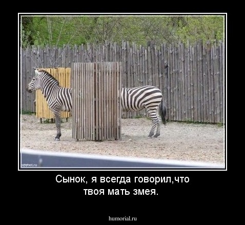 Сынок, я всегда говорил,что твоя мать змея.