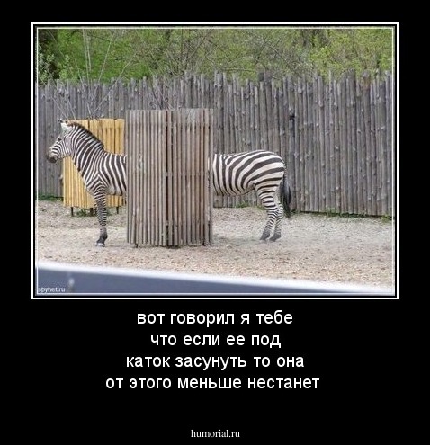 вот говорил я тебе что если ее под каток засунуть то она от этого меньше нестанет