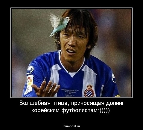 Волшебная птица, приносящая допинг корейским футболистам:)))))