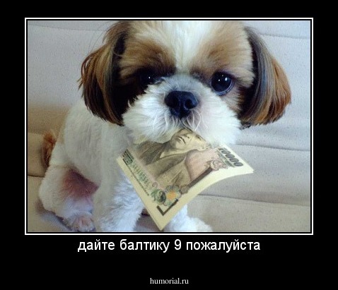 дайте балтику 9 пожалуйста
