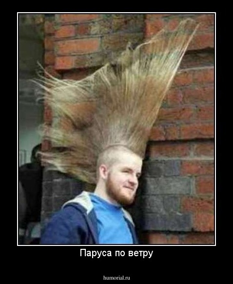 Паруса по ветру