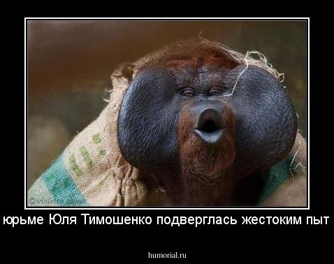 В тюрьме Юля Тимошенко подверглась жестоким пыткам