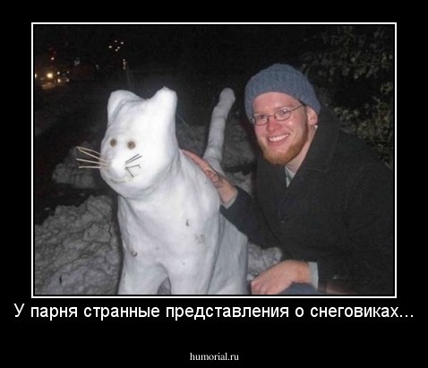 У парня странные представления о снеговиках...