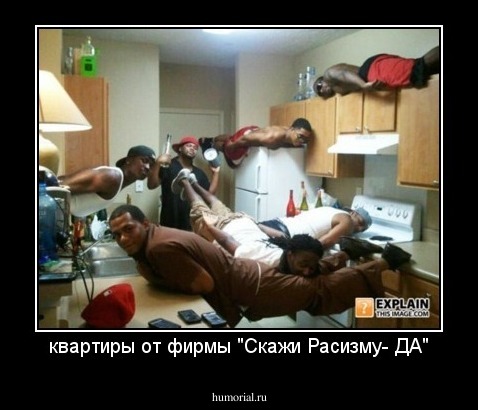 квартиры от фирмы "Скажи Расизму- ДА"