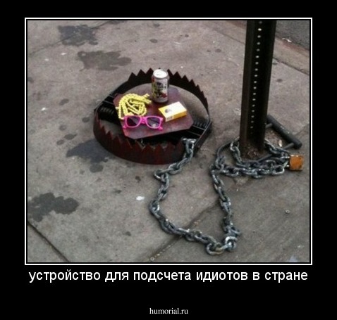 устройство для подсчета идиотов в стране