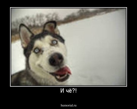 И чё?!