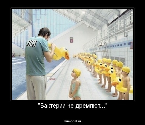 "Бактерии не дремлют..."