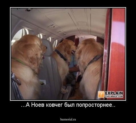 ...А Ноев ковчег был попросторнее..