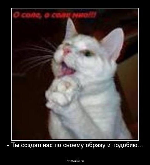 - Ты создал нас по своему образу и подобию...
