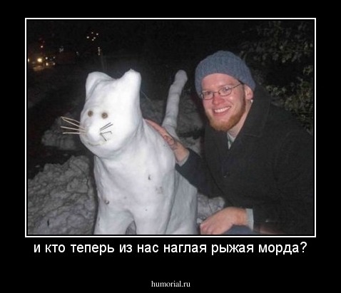 и кто теперь из нас наглая рыжая морда?