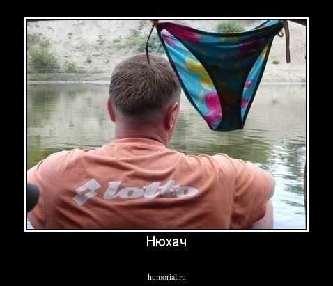 Нюхач
