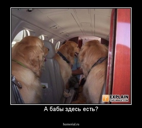 А бабы здесь есть?