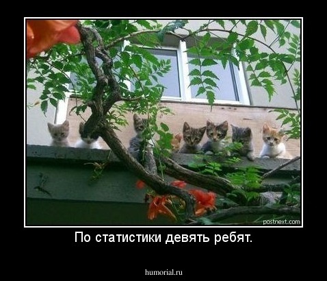 По статистики девять ребят.