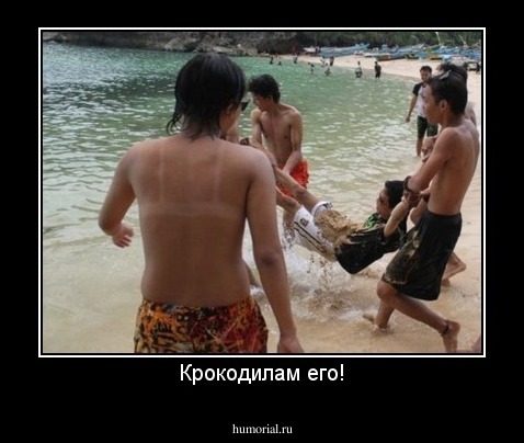 Крокодилам его!