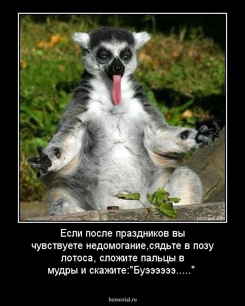 Если после праздников вы чувствуете недомогание,сядьте в позу лотоса, сложите пальцы в мудры и скажите:"Буээээээ....." 