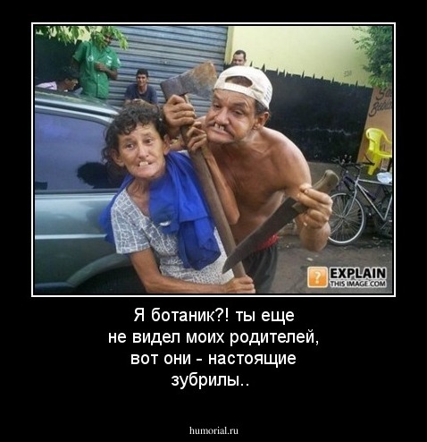 Я ботаник?! ты еще не видел моих родителей, вот они - настоящие зубрилы..