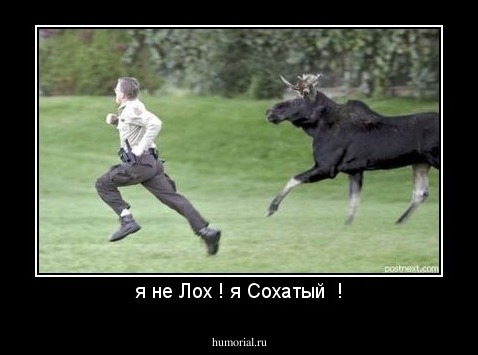 я не Лох ! я Сохатый  !