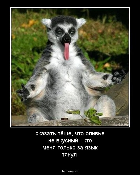сказать тёще, что оливье не вкусный - кто меня только за язык тянул