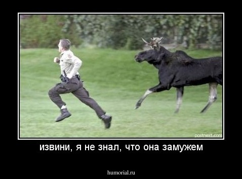 извини, я не знал, что она замужем