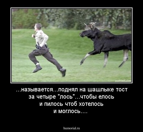 ...называется...поднял на шашлыке тост за четыре "лось"...чтобы елось и пилось чтоб хотелось и моглось....