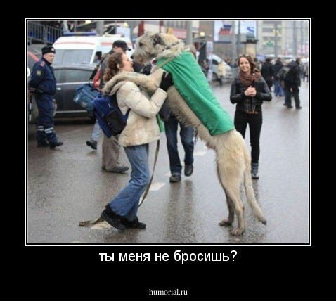 ты меня не бросишь?