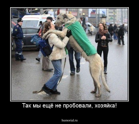 Так мы ещё не пробовали, хозяйка!