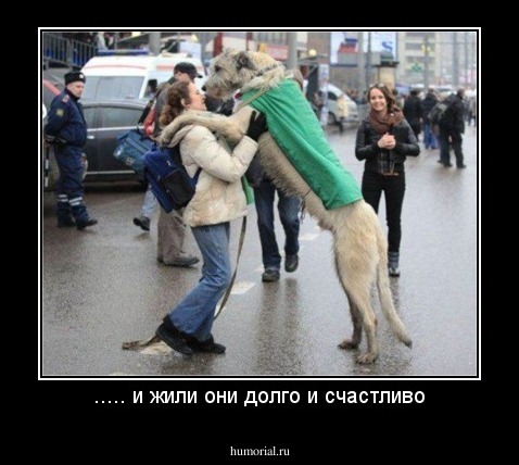 ..... и жили они долго и счастливо
