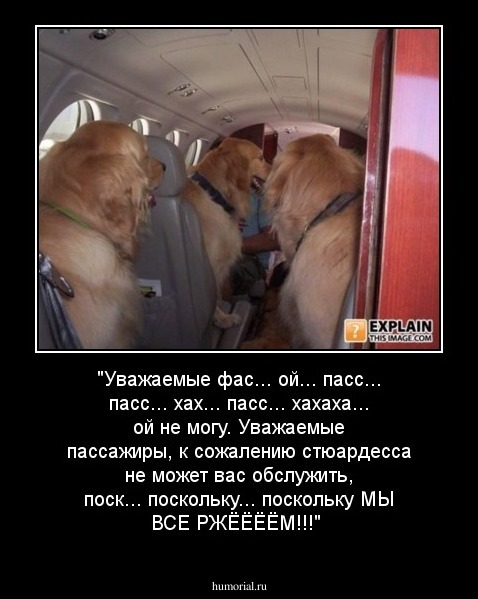 "Уважаемые фас... ой... пасс... пасс... хах... пасс... хахаха... ой не могу. Уважаемые пассажиры, к сожалению стюардесса не может вас обслужить, поск... поскольку... поскольку МЫ ВСЕ РЖЁЁЁЁМ!!!"