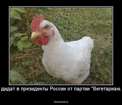 Новый кандидат в президенты России от партии "Вегетарианцы России"