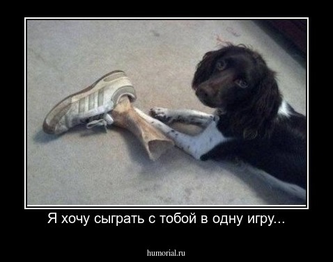 Я хочу сыграть с тобой в одну игру...