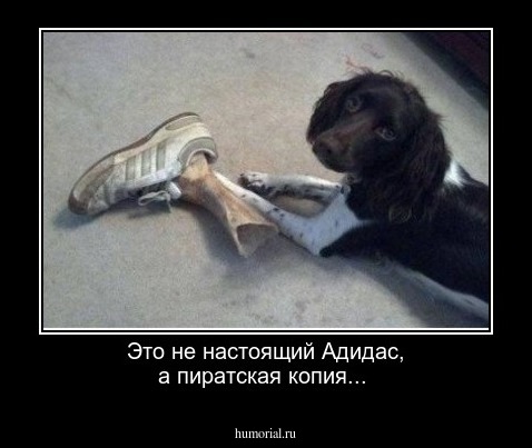 Это не настоящий Адидас, а пиратская копия...