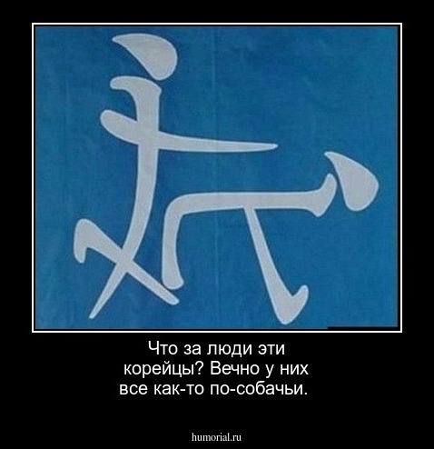 Что за люди эти корейцы? Вечно у них все как-то по-собачьи.