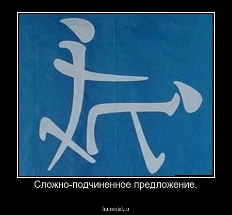 Сложно-подчиненное предложение.