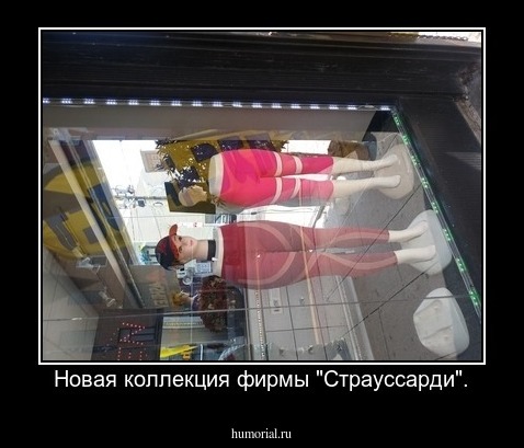 Новая коллекция фирмы "Страуссарди".