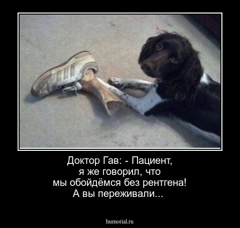 Доктор Гав: - Пациент, я же говорил, что мы обойдёмся без рентгена! А вы переживали...