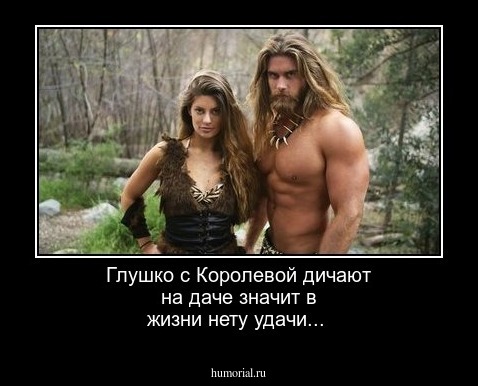Глушко с Королевой дичают на даче
значит в жизни нету удачи...