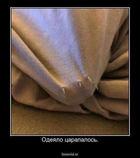 Одеяло царапалось.