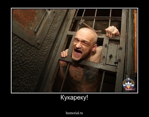 Кукареку!