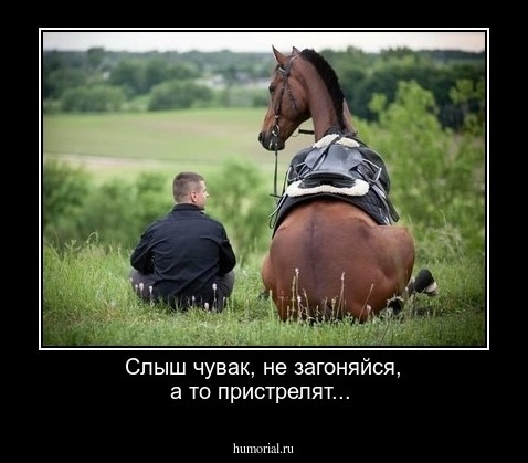 Слыш чувак, не загоняйся, а то пристрелят...