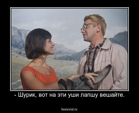 - Шурик, вот на эти уши лапшу вешайте.