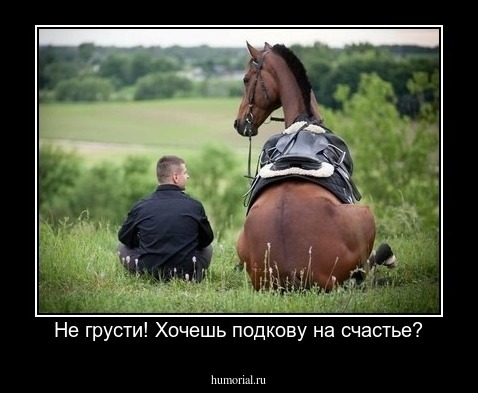 Не грусти! Хочешь подкову на счастье?