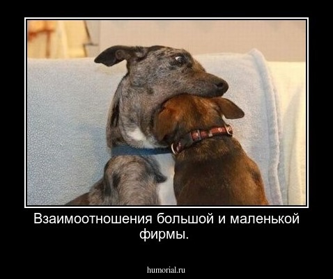 Взаимоотношения большой и маленькой фирмы.