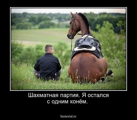Шахматная партия. Я остался с одним конём.
